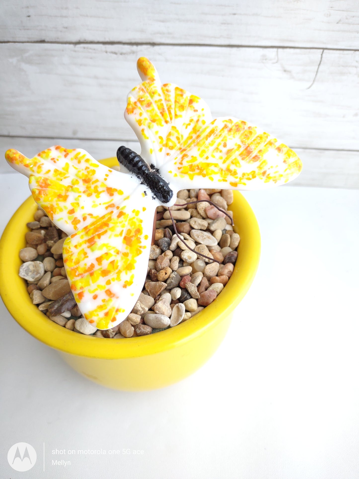 Fused Glass Butterfly Plant Stake