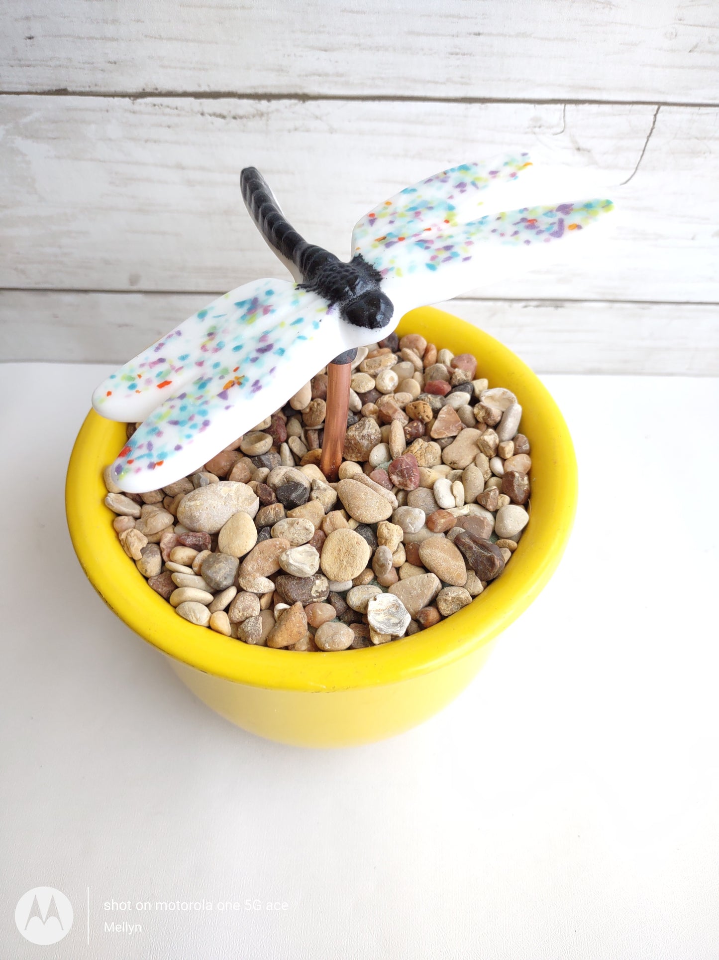Multi-Color Fused Glass Dragonfly Plant Stake