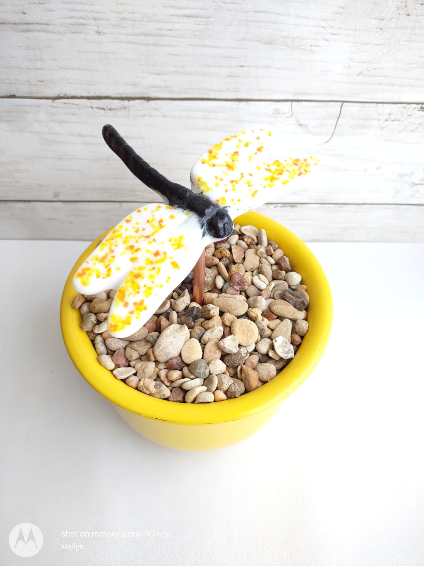 White with Yellow Fused Glass Dragonfly Plant Stake