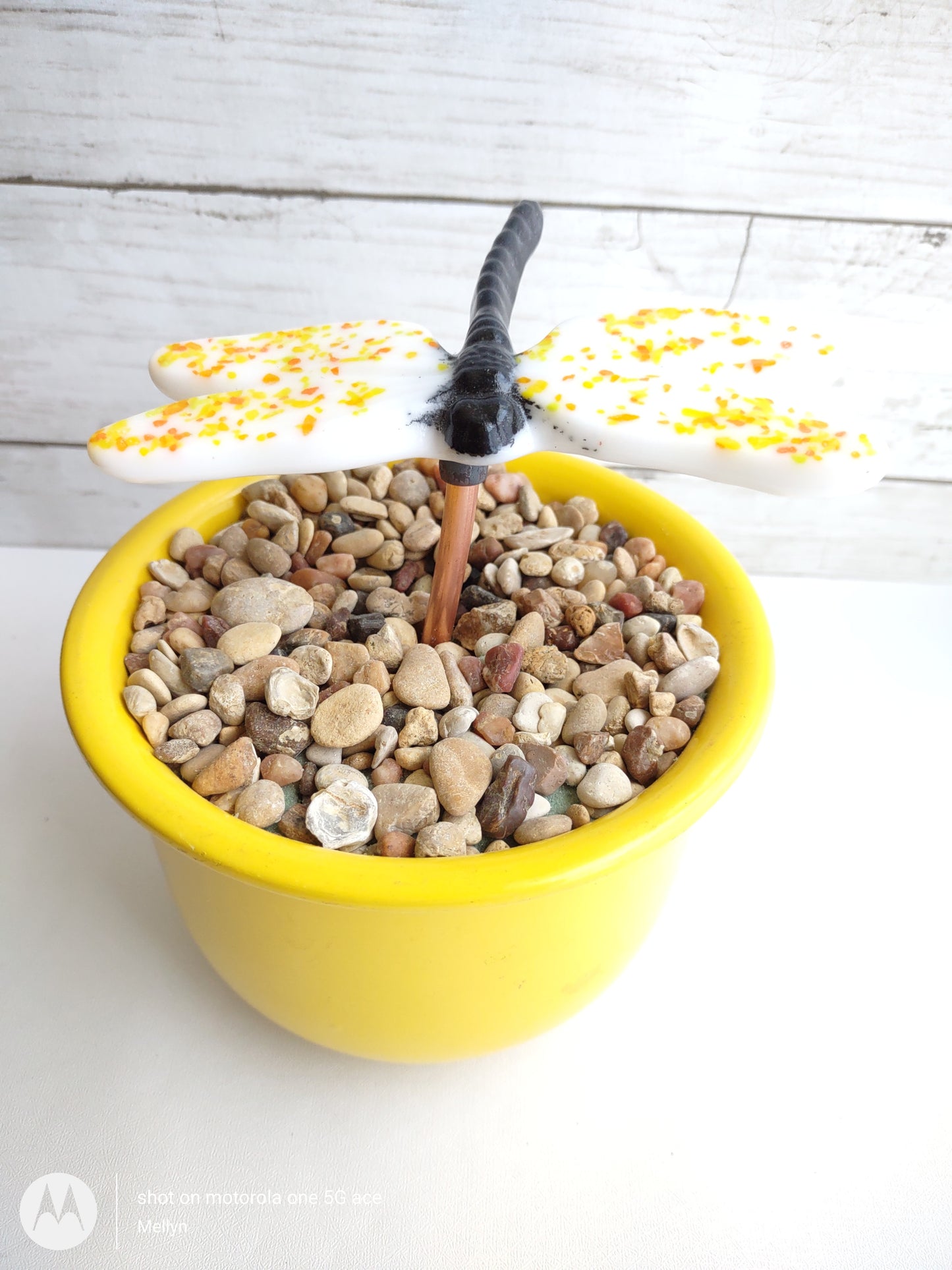 White with Yellow Fused Glass Dragonfly Plant Stake