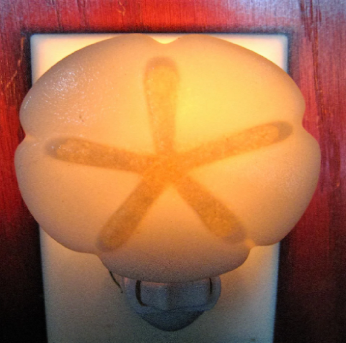 Fused Glass Sand-Dollar Nightlight, Sea Shell Night Light,