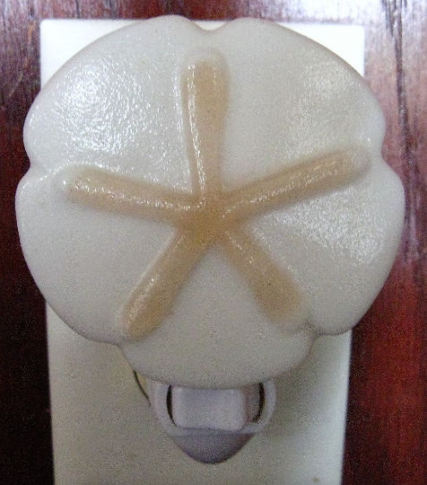 Fused Glass Sand-Dollar Nightlight, Sea Shell Night Light,
