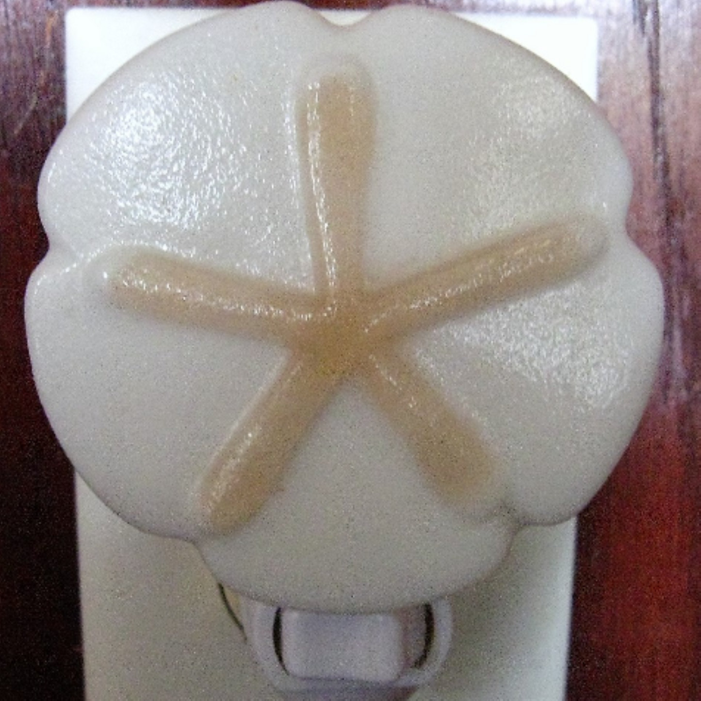 Fused Glass Sand-Dollar Nightlight, Sea Shell Nightlight, Sea Nightlight, Seafoam Green, Ming Green