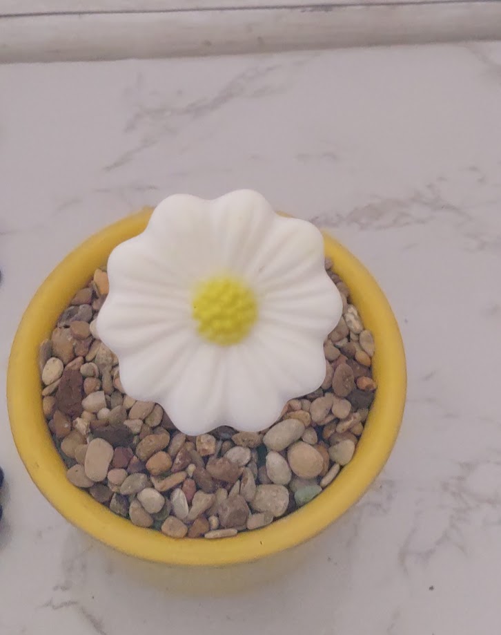 Fused Glass Daisy Flower